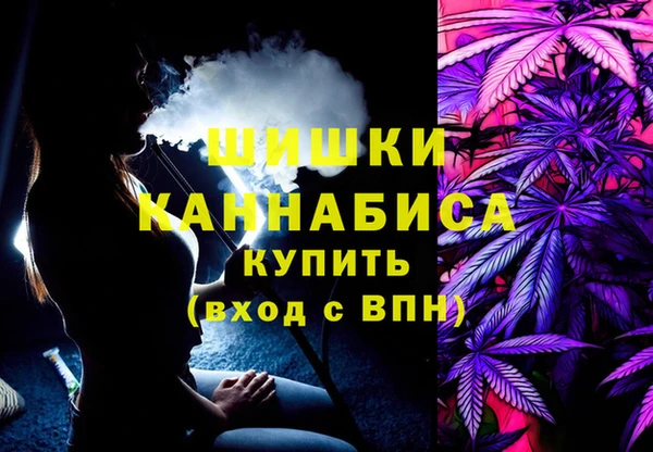 сатива Гусев