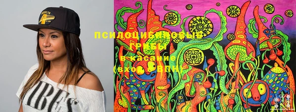 ГАЛЛЮЦИНОГЕННЫЕ ГРИБЫ Гусиноозёрск