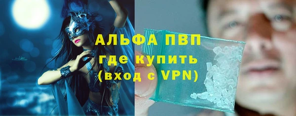 сатива Гусев