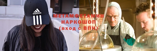 сатива Гусев