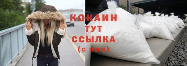 сатива Гусев