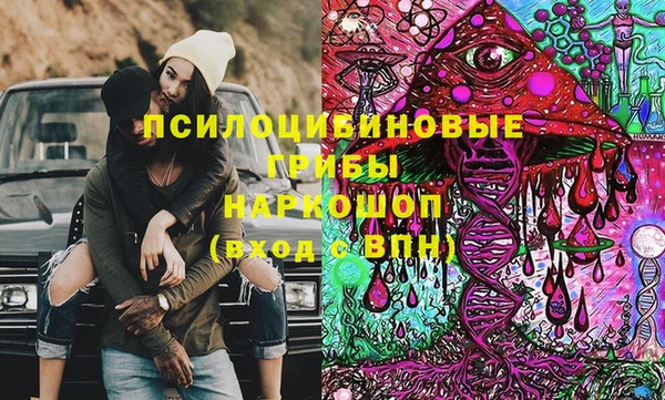 ГАЛЛЮЦИНОГЕННЫЕ ГРИБЫ Гусиноозёрск