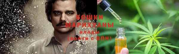 ГАЛЛЮЦИНОГЕННЫЕ ГРИБЫ Гусиноозёрск