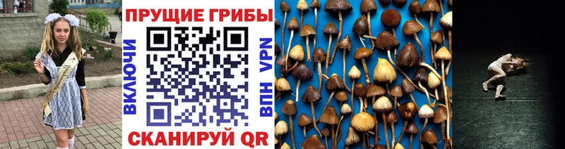 мега ТОР  купить наркотик  Очёр  Галлюциногенные грибы прущие грибы 