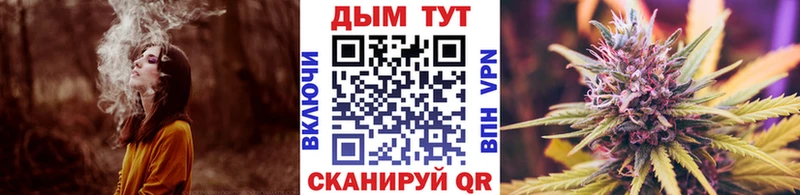 цены   Очёр  Конопля планчик 